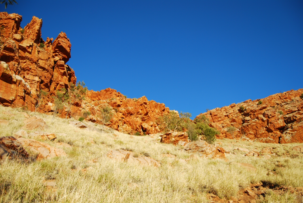 Alice Springs Image 1