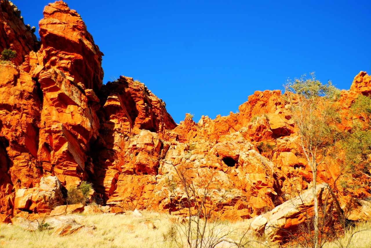 Alice Springs Image 5