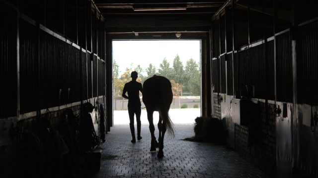 Jockey walking horse through stable