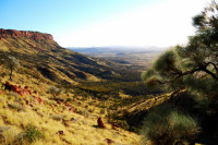 The Beautiful Alice Springs Macdonnell Ranges photo from lower Mt Gillen looking west